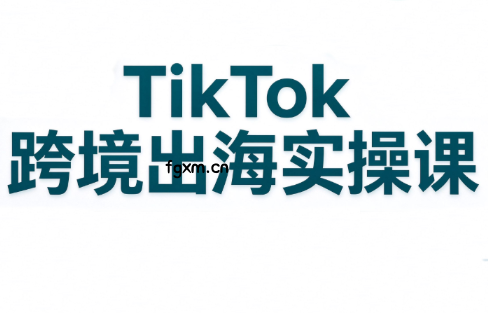 彭老师·TikTok跨境出海实操课-轻创终点站