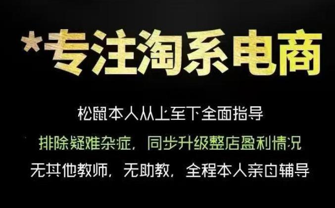 松鼠会电商VIP课程，从基础布局到高阶优化，助你掌握淘宝运营逻辑，提升店铺流量与转化(更新1029)-轻创终点站